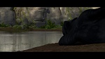 Image Dragons