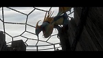 Image Dragons