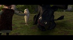Image Dragons