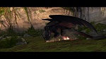 Image Dragons