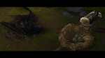 Image Dragons