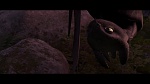 Dragons picture