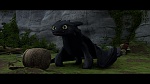 Dragons picture