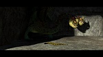 Image Dragons