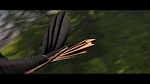 Image Dragons