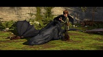 Image Dragons