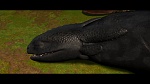 Image Dragons