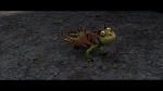 Image Dragons