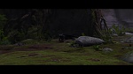 Image Dragons