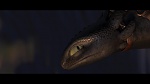 Image Dragons