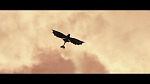 Image Dragons