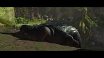 Dragons picture