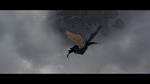 Dragons picture