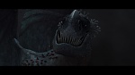 Dragons picture