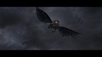 Dragons picture