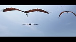 Image Dragons 2