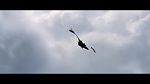 Dragons 2 picture