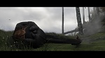 Image Dragons 2