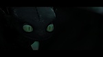 Image Dragons 2