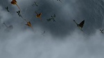 How to Train your Dragon gift of the night fury picture