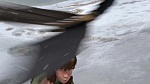 How to Train your Dragon gift of the night fury picture