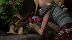 How to Train your Dragon gift of the night fury picture