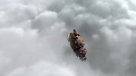 Image How to Train your Dragon gift of the night fury