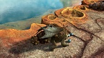 How to Train your Dragon gift of the night fury picture