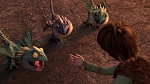 How to Train your Dragon gift of the night fury picture
