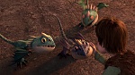 How to Train your Dragon gift of the night fury picture