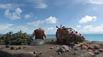 Image Dragons : la série