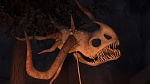 Image Dragons : la série
