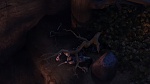 Image Dragons : la série