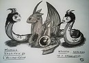 Rencontre avec un amphisbène