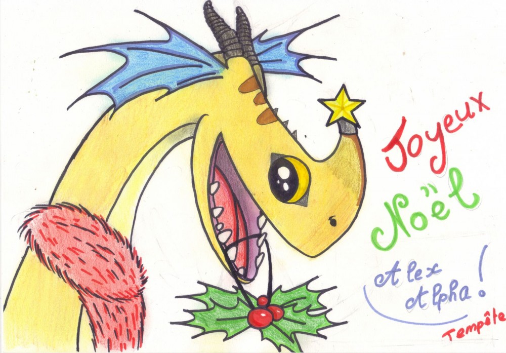 Projet noel et recompense du concours de tempete!