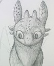 Toothless' Stare