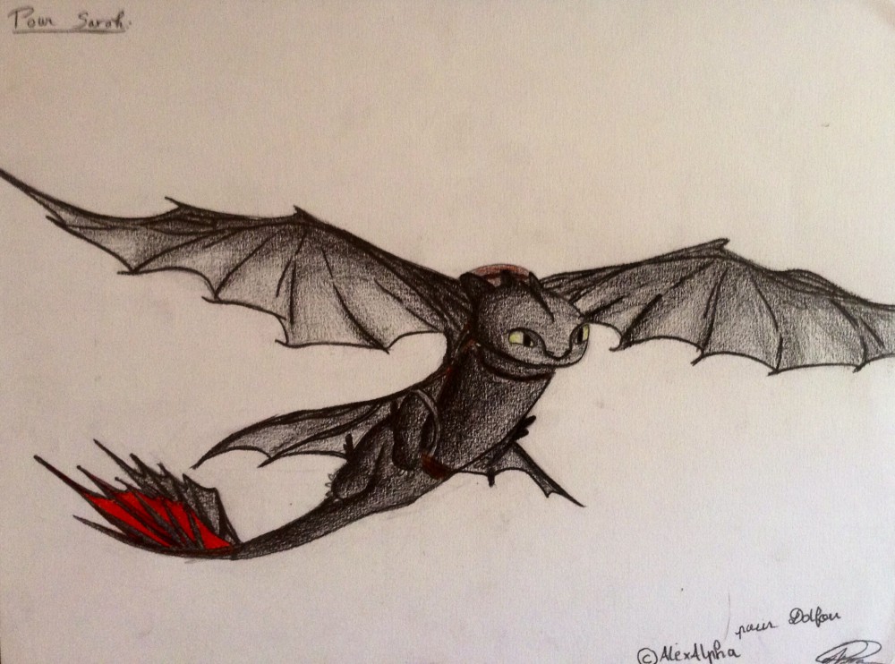 Cadeau d'AlexAlpha-Krokmou<3
