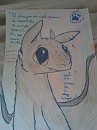 krokmou ^^