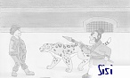 Sisi