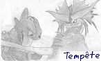 Tempête