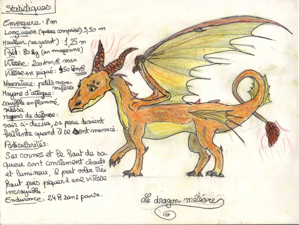 Le Dragon Météore (concours 