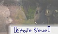 ¤Etoile Bleue¤