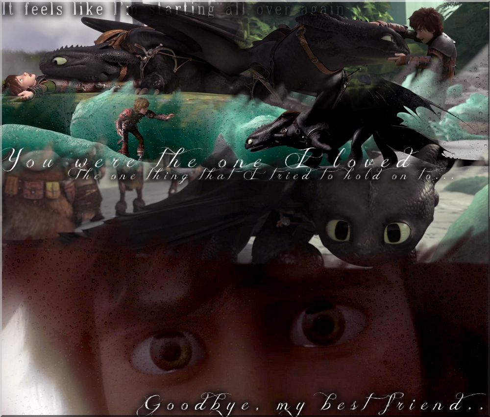 Goodbye my best friend