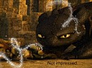 Not impressed Toothless