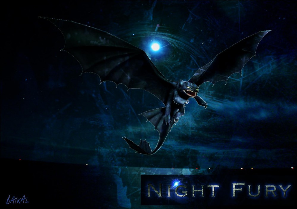 Night Fury 