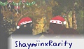 Shayint