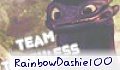 RainbowDashie100
