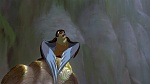 Image Excalibur, l'épée magique