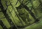 Ginga Nagareboshi Gin picture