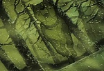 Ginga Nagareboshi Gin picture